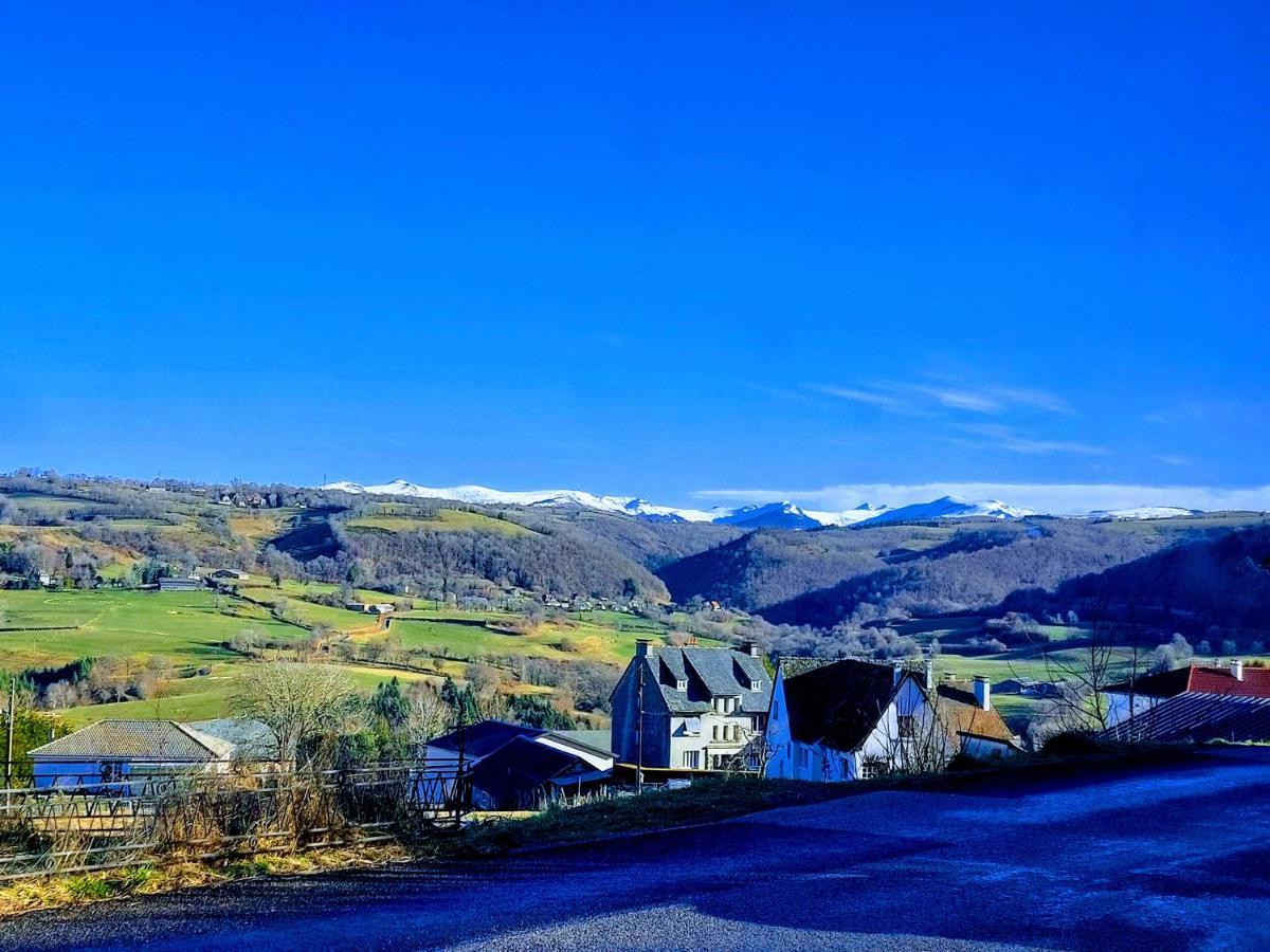 Gites Puy Mary Et Puy Griou Saint-Cernin  المظهر الخارجي الصورة